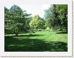 Botanical Gardens - Niagara * 2592 x 1944 * (2.36MB)